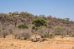 Meru National Park landscape