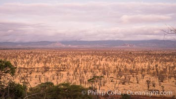 Meru National Park landscape