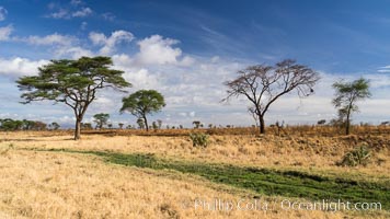 Meru National Park landscape