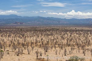 Meru National Park landscape