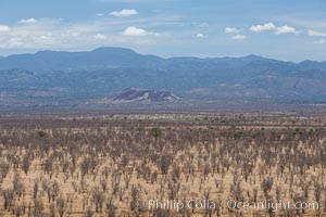 Meru National Park landscape