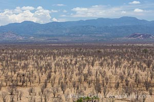 Meru National Park landscape