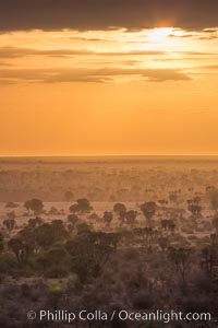 Meru National Park sunrise landscape.