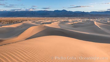 Mesquite Dunes at sunrise, dawn, clouds and morning sky, sand dunes. Death Valley National Park, California, USA, natural history stock photograph, photo id 30482