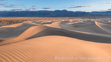 Mesquite Dunes at sunrise, dawn, clouds and morning sky, sand dunes, Death Valley National Park, California