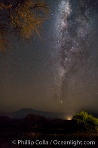 Milky Way over Mount Kilimanjaro, viewed from Amboseli National Park