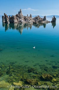 Tufa towers rise from Mono Lake.  Tufa towers are formed when underwater springs rich in calcium mix with lakewater rich in carbonates, forming calcium carbonate (limestone) structures below the surface of the lake.  The towers were eventually revealed when the water level in the lake was lowered starting in 1941.  South tufa grove, Navy Beach