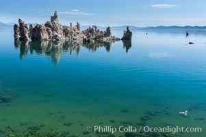 Tufa towers rise from Mono Lake.  Tufa towers are formed when underwater springs rich in calcium mix with lakewater rich in carbonates, forming calcium carbonate (limestone) structures below the surface of the lake.  The towers were eventually revealed when the water level in the lake was lowered starting in 1941.  South tufa grove, Navy Beach