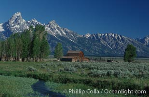 Aspens, a small creek and an old barn along Mormon Row below the Teton Range, Grand Teton National Park, Wyoming