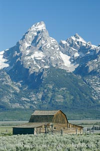 Old barn along Mormon Row below the Teton Range, Grand Teton National Park, Wyoming