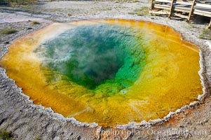 Morning Glory Pool has long been considered a must-see site in Yellowstone.  At one time a road brought visitors to its brink.  Over the years they threw coins, bottles and trash in the pool, reducing its flow and causing the red and orange bacteria to creep in from its edge, replacing the blue bacteria that thrive in the hotter water at the center of the pool.  The pool is now accessed only by a foot path.  Upper Geyser Basin, Yellowstone National Park, Wyoming