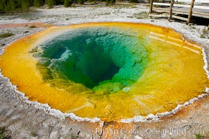 Morning Glory Pool has long been considered a must-see site in Yellowstone.  At one time a road brought visitors to its brink.  Over the years they threw coins, bottles and trash in the pool, reducing its flow and causing the red and orange bacteria to creep in from its edge, replacing the blue bacteria that thrive in the hotter water at the center of the pool.  The pool is now accessed only by a foot path.  Upper Geyser Basin, Yellowstone National Park, Wyoming