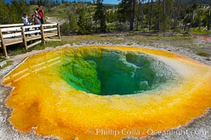 Morning Glory Pool has long been considered a must-see site in Yellowstone.  At one time a road brought visitors to its brink.  Over the years they threw coins, bottles and trash in the pool, reducing its flow and causing the red and orange bacteria to creep in from its edge, replacing the blue bacteria that thrive in the hotter water at the center of the pool.  The pool is now accessed only by a foot path.  Upper Geyser Basin, Yellowstone National Park, Wyoming