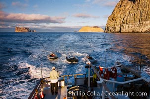 Motoring, south end of Guadalupe Island, Isla Afuera (left) and Isla Adentro (right) in distance, Guadalupe Island (Isla Guadalupe)