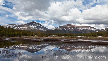 Mount Dana and Mount Gibbs reflected in the Dana Fork of the Tuolumne River, Yosemite National Park, California