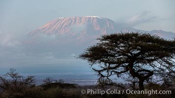 Mount Kilimanjaro, Tanzania, viewed from Amboseli NP, Kenya