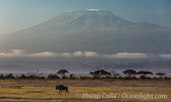 Mount Kilimanjaro, Tanzania, viewed from Amboseli NP, Kenya, Amboseli National Park