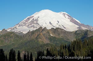 Mount Rainier rises above Governors Ridge, Emmons Glacier, Mount Rainier National Park, Washington