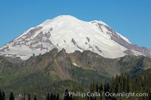 Mount Rainier rises above Governors Ridge, Emmons Glacier, Mount Rainier National Park, Washington