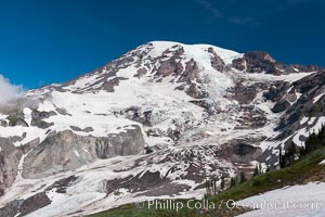 Mount Rainier, southern exposure viewed from High Skyline Trail near Paradise Meadows, Mount Rainier National Park, Washington