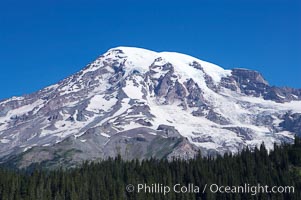 Mount Rainier, southern exposure viewed from Ricksecker Point, Mount Rainier National Park, Washington