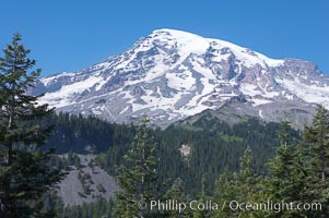 Mount Rainier, southern exposure viewed from Ricksecker Point, Mount Rainier National Park, Washington