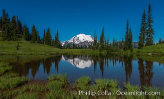 Mount Rainier reflected in Tipsoo Lake, Tipsoo Lakes, Mount Rainier National Park, Washington