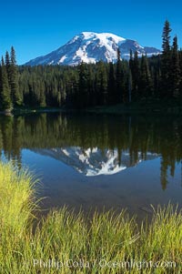 Mount Rainier is reflected in the calm waters of Reflection Lake, early morning.