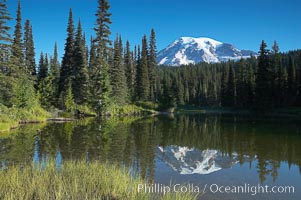 Mount Rainier is reflected in the calm waters of Reflection Lake, early morning, Mount Rainier National Park, Washington