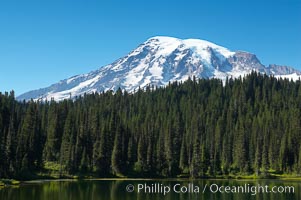 Mount Rainier is reflected in the calm waters of Reflection Lake, early morning, Mount Rainier National Park, Washington