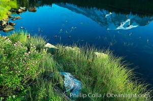 Mount Rainier is reflected in the calm waters of Reflection Lake, early morning, Mount Rainier National Park, Washington