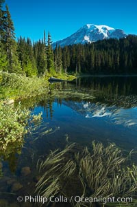 Mount Rainier is reflected in the calm waters of Reflection Lake, early morning, Mount Rainier National Park, Washington