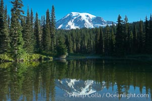 Mount Rainier is reflected in the calm waters of Reflection Lake, early morning, Mount Rainier National Park, Washington