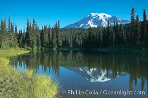 Mount Rainier is reflected in the calm waters of Reflection Lake, early morning, Mount Rainier National Park, Washington