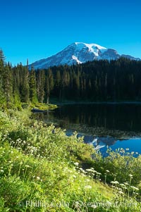 Mount Rainier, Reflection Lake, early morning, Mount Rainier National Park, Washington