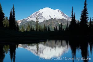 Mount Rainier is reflected in Upper Tipsoo Lake, Tipsoo Lakes, Mount Rainier National Park, Washington