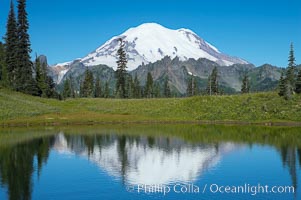 Mount Rainier is reflected in Upper Tipsoo Lake, Tipsoo Lakes, Mount Rainier National Park, Washington