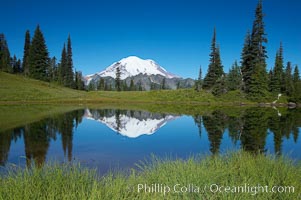 Mount Rainier is reflected in Upper Tipsoo Lake, Tipsoo Lakes, Mount Rainier National Park, Washington