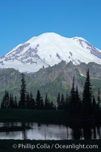 Mount Rainier, Tipsoo Lake, early morning, Tipsoo Lakes, Mount Rainier National Park, Washington