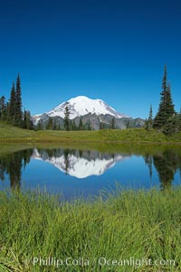 Mount Rainier is reflected in Upper Tipsoo Lake, Tipsoo Lakes, Mount Rainier National Park, Washington