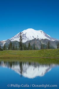 Mount Rainier is reflected in Upper Tipsoo Lake, Tipsoo Lakes, Mount Rainier National Park, Washington