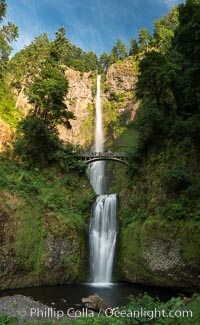 Multnomah Falls. Plummeting 620 feet from its origins on Larch Mountain, Multnomah Falls is the second highest year-round waterfall in the United States. Nearly two million visitors a year come to see this ancient waterfall making it Oregon's number one public destination. Columbia River Gorge National Scenic Area, USA, natural history stock photograph, photo id 28667
