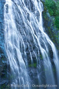 Narada Falls. Mount Rainier National Park, Washington, USA, natural history stock photograph, photo id 13841