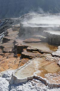 Steam rises from the travertine terraces of New Blue Spring, part of the Mammoth Hot Springs complex, Yellowstone National Park, Wyoming