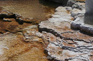 Steam rises from the travertine terraces of New Blue Spring, part of the Mammoth Hot Springs complex, Yellowstone National Park, Wyoming