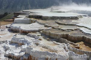 Steam rises from the travertine terraces of New Blue Spring, part of the Mammoth Hot Springs complex, Yellowstone National Park, Wyoming