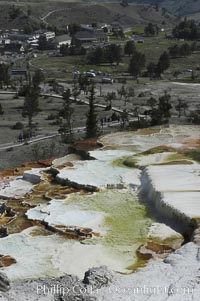 Steam rises from the travertine terraces of New Blue Spring, part of the Mammoth Hot Springs complex, Yellowstone National Park, Wyoming