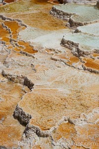 New Blue Spring and its travertine terraces, part of the Mammoth Hot Springs complex, Yellowstone National Park, Wyoming