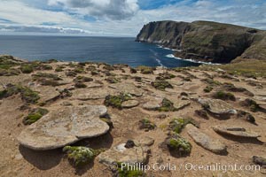 Interesting rock formations on plateau atop New Island, with sheer rugged seacliffs and the ocean beyond