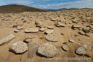 Interesting rock formations on plateau atop New Island.